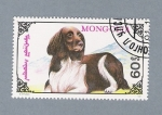 Stamps Mongolia -  Perro