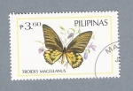 Stamps Philippines -  Troides Magellanus