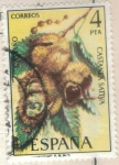 Stamps : Europe : Spain :  ESPANA 1975 (E2257) Flora - Castano 4p