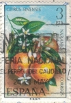 Stamps Spain -  ESPANA 1975 (E2256) Flora - Naranjo 3p