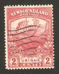 Stamps America - New Foundland -  fauna, reno o caribu