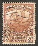 Stamps New Foundland -  fauna, reno o caribu