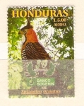 Stamps Honduras -  SPIZAETUS  ORNATUS