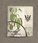 Stamps Malaysia -  Piper nigrum