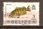 Stamps America - Belize -  PEZ  MERO