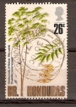 Stamps America - Belize -  BILLYWEB   (MADERA  DURA)