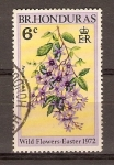 Stamps Belize -  PETRAE  VOLUBIS