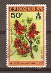 Stamps America - Belize -  ERYTHRINA  AMARICANA