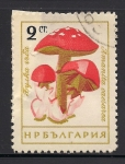 Stamps Bulgaria -  Setas