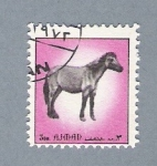 Sellos del Mundo : Asia : Emiratos_rabes_Unidos : Caballo