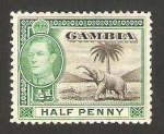 Stamps Africa - Gambia -  george VI, elefante 