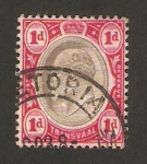 Stamps : Africa : South_Africa :  Eduardo VII 