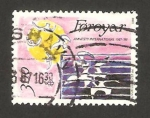 Stamps Denmark -  islas feroe - 25 anivº de amnistía internacional 