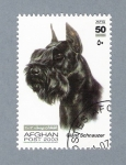 Stamps : Asia : Afghanistan :  Giant Schnauzer