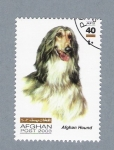 Stamps : Asia : Afghanistan :  Afghan Hound