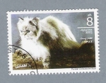 Stamps : Asia : Afghanistan :  Série Gatos