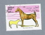 Stamps Afghanistan -  Série Caballos