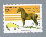 Stamps : Asia : Afghanistan :  Série Caballos