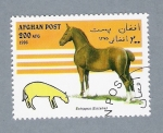 Stamps Afghanistan -  Série Caballos