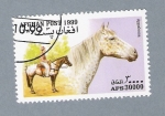 Stamps Afghanistan -  Série Caballos