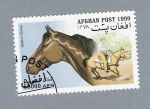 Stamps Afghanistan -  Série Caballos