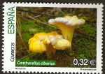Stamps Spain -  Cantherelius cibarius