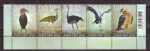 Stamps South Africa -  Correo postal aéreo- Aves