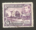 Stamps America - Guyana -  george VI, jardín botánico de georgetown