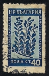 Stamps : Europe : Bulgaria :  Flores Medicinales: Hierba de oso