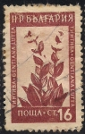 Stamps : Europe : Bulgaria :  Flores Medicinales: Genciana