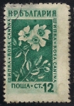 Stamps : Europe : Bulgaria :  Flores Medicinales: Rosa Canina
