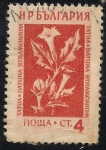 Stamps Bulgaria -  Flores Medicinales: Estramonio.