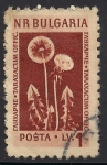 Stamps : Europe : Bulgaria :  Flores Medicinales: Diente de León.