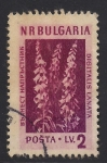 Sellos de Europa - Bulgaria -  Flores Medicinales: Dedalera.
