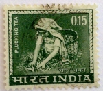 Stamps India -  Plucking tea