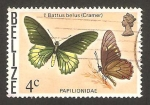 Sellos de America - Belice -  mariposa battus belus (cramer)
