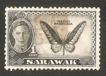 Stamps : Asia : Malaysia :  sarawak - george VI, mariposa