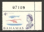 Stamps America - Bahamas -  Elizabeth II, flamenco rosa