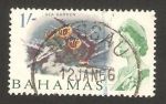Stamps America - Bahamas -  Elizabeth II, jardín marino