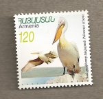 Stamps Asia - Armenia -  Pelícano