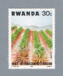 Sellos del Mundo : Africa : Rwanda : 1982 Luttons Contre L'Erosión