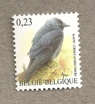 Stamps Belgium -  Grajilla