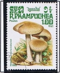 Sellos de Asia - Camboya -  Amanita muscarina