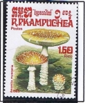 Stamps : Asia : Cambodia :  Coprinus comatus