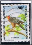 Stamps Cameroon -  Lepervier