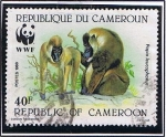 Stamps Cameroon -  Papio Leucophaeus