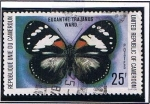 Stamps Africa - Cameroon -  Euxanthe Trajanus
