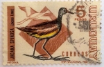 Stamps Uruguay -  Jacana Spinosa