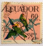 Stamps Ecuador -  Perico