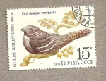 Stamps Russia -  Caprimulgus eurpaeus